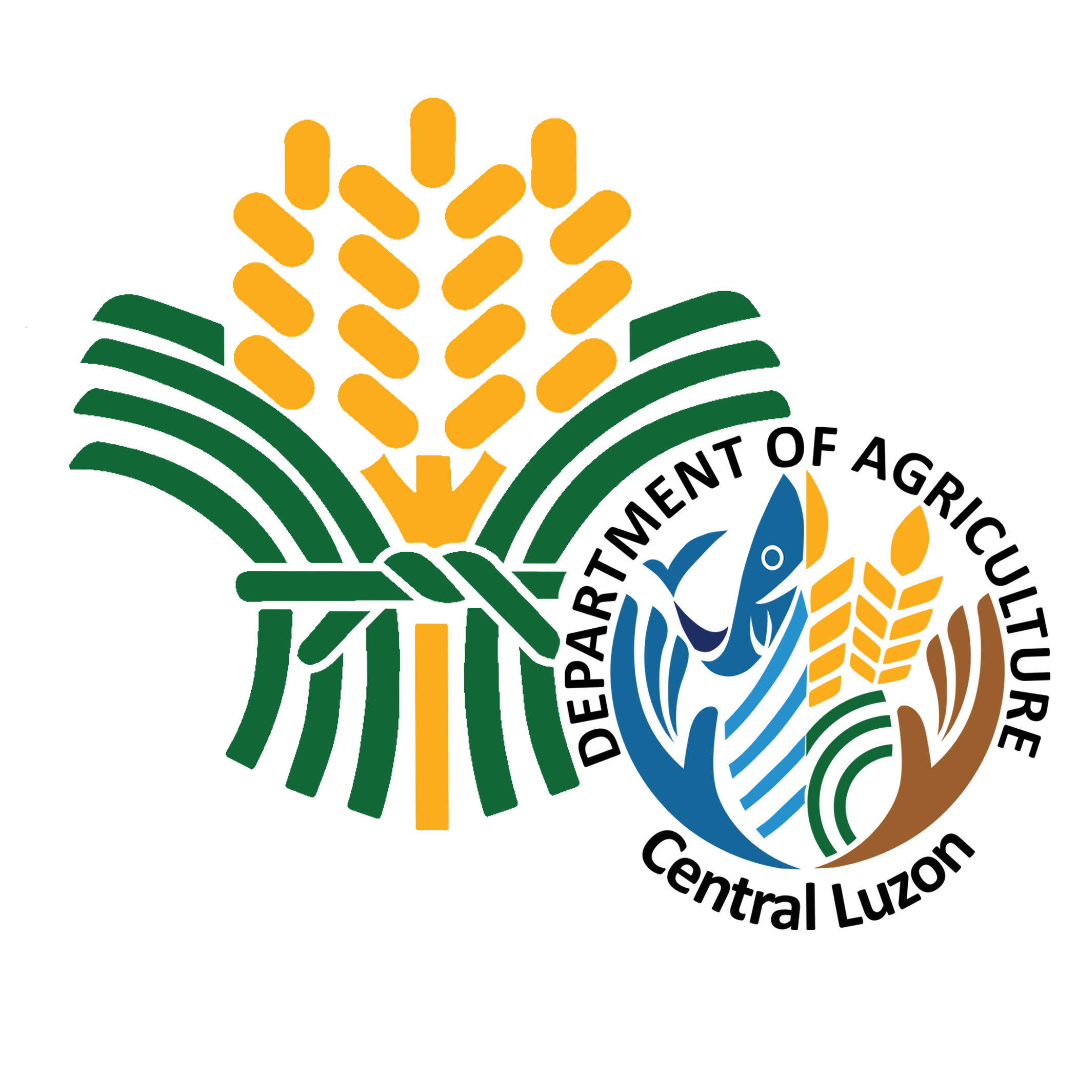 Regional Field Office III Official Logo