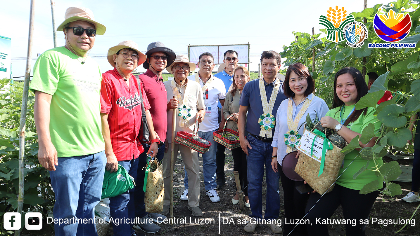 HARVEST FESTIVAL NG ISINAGAWANG LOWLAND VEGETABLE TECHNO DEMO, IDINAOS SA MABALACAT CITY