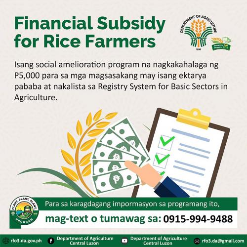 Rice Farmers Financial Subsidy